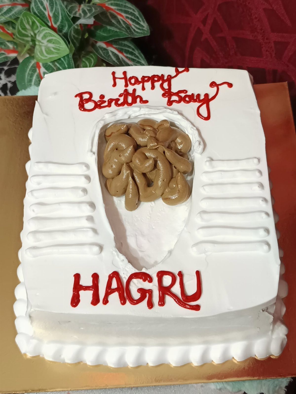 Toilet shaped cake with brown frosting feces and red icing birthday text.