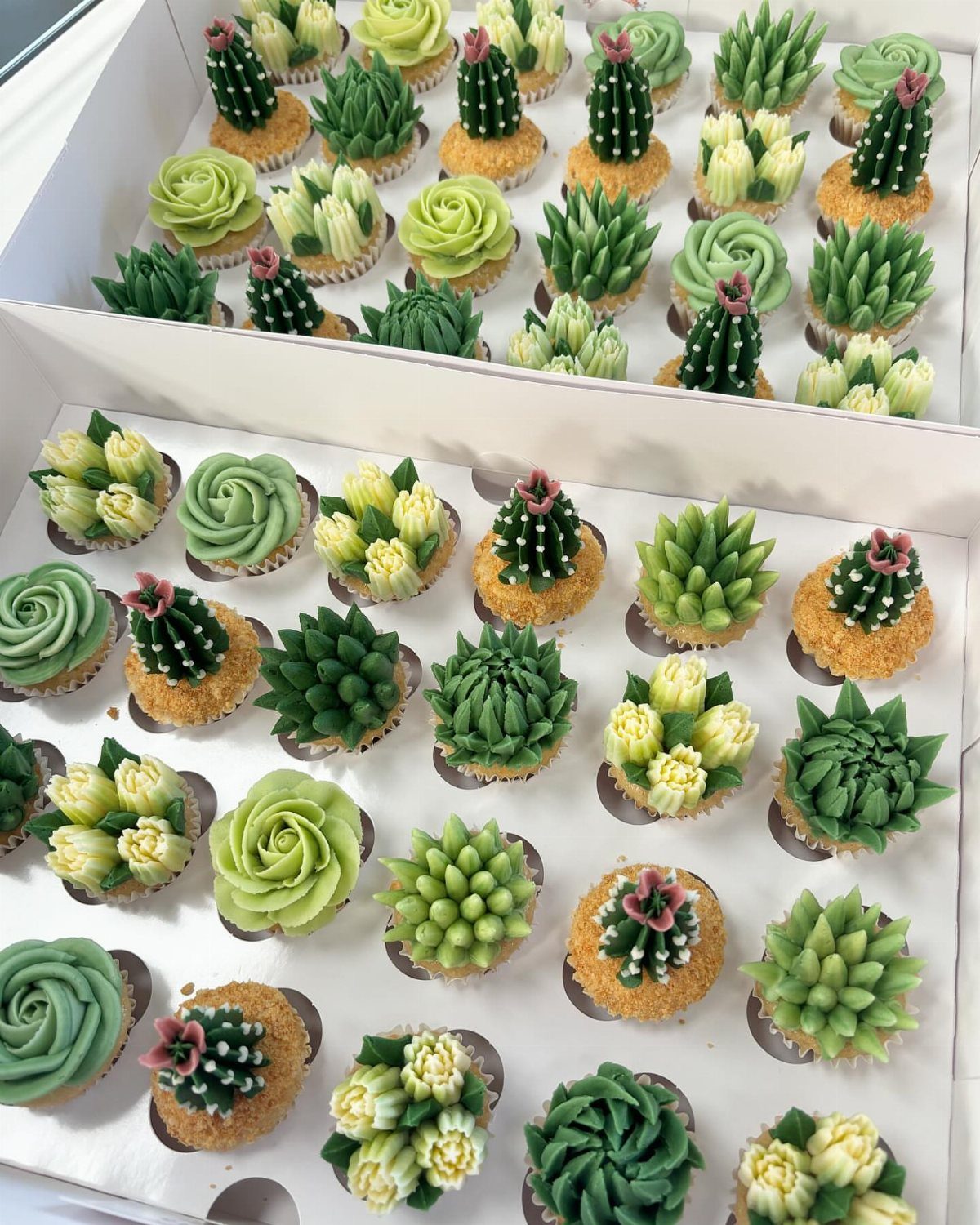 Cupcakes decorated with green frosting to look like various cacti and succulents.