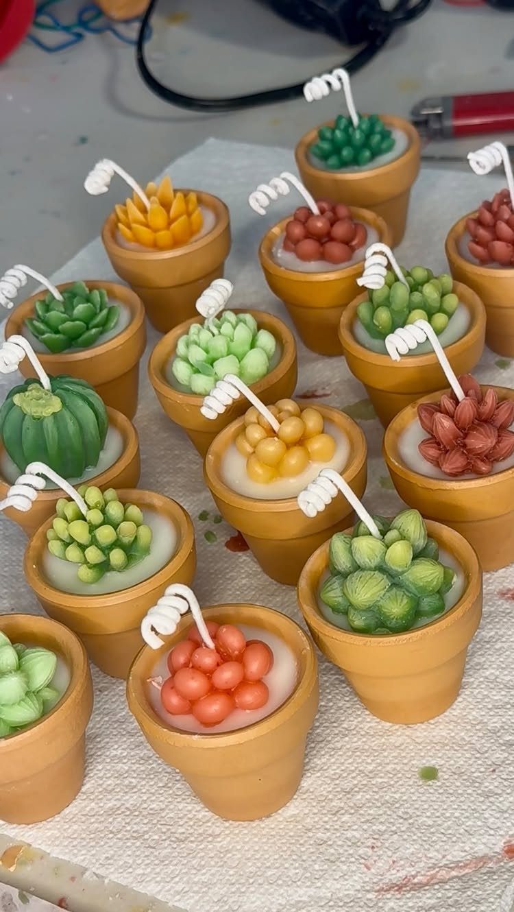 Succulent-shaped candles in small terracotta pots arranged on a white cloth surface.