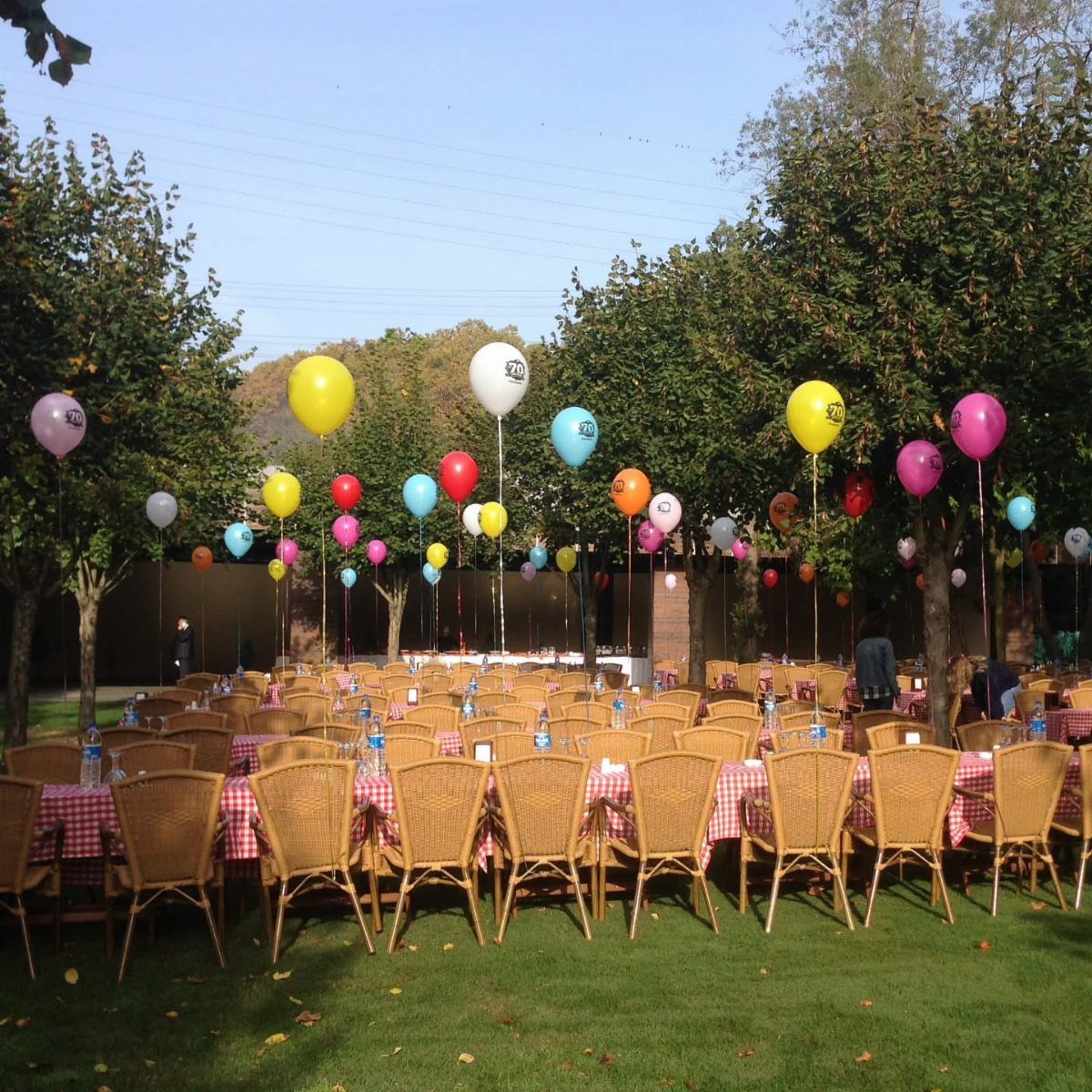Outdoor party setup with red checkered tables, wicker chairs, and colorful floating balloons.