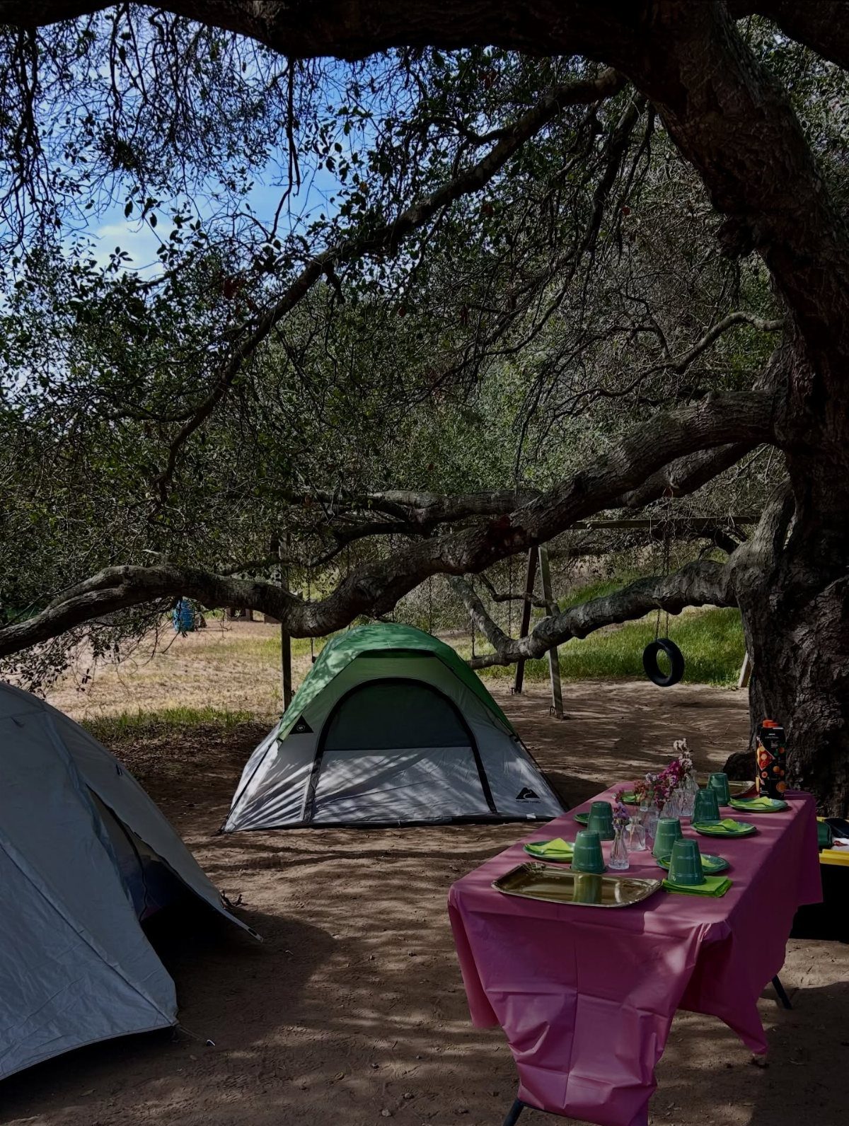 Camping tents and a pink party table set up under a large tree.