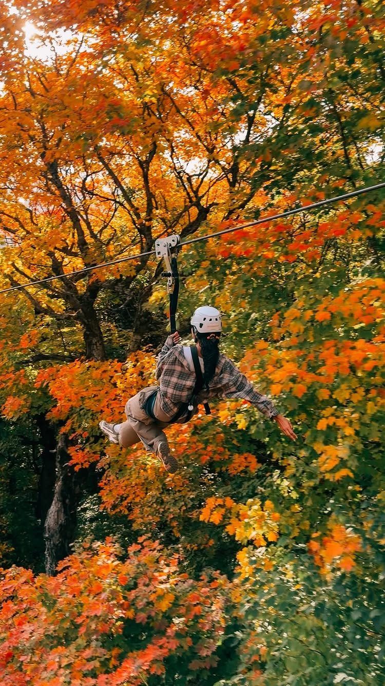 Person ziplining through a forest with bright orange and yellow autumn foliage.