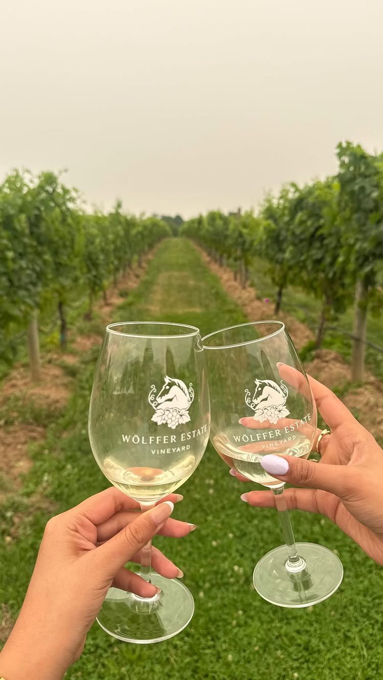 Two wine glasses clinking in a toast amidst a green vineyard landscape.