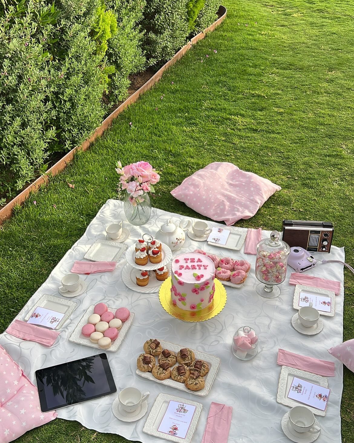 Tea party picnic setup on grass with pink cake, macarons, and tea cups.